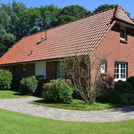 Strandlaeufer