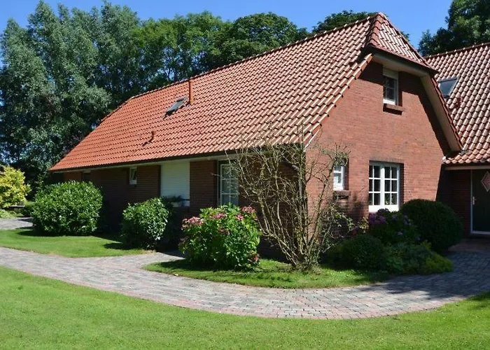 Strandlaeufer